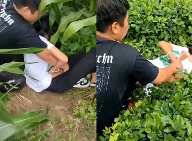 Lũ bạn học cưỡng bức nữ sinh mơ ước
